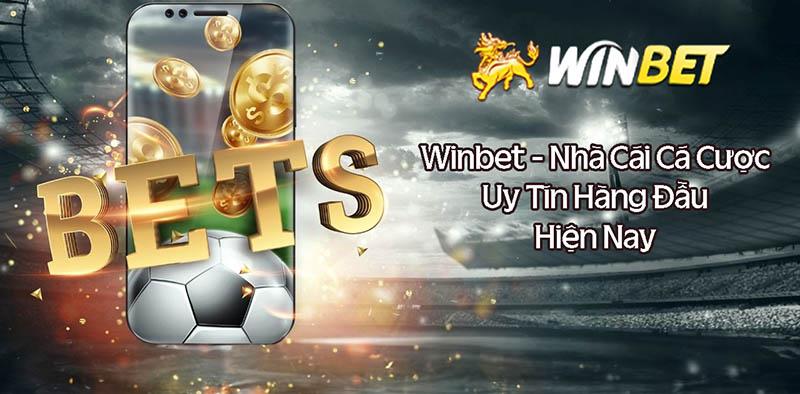 Khám phá san trung vang và những bí quyết chiến thắng tại san trung vang hấp dẫn